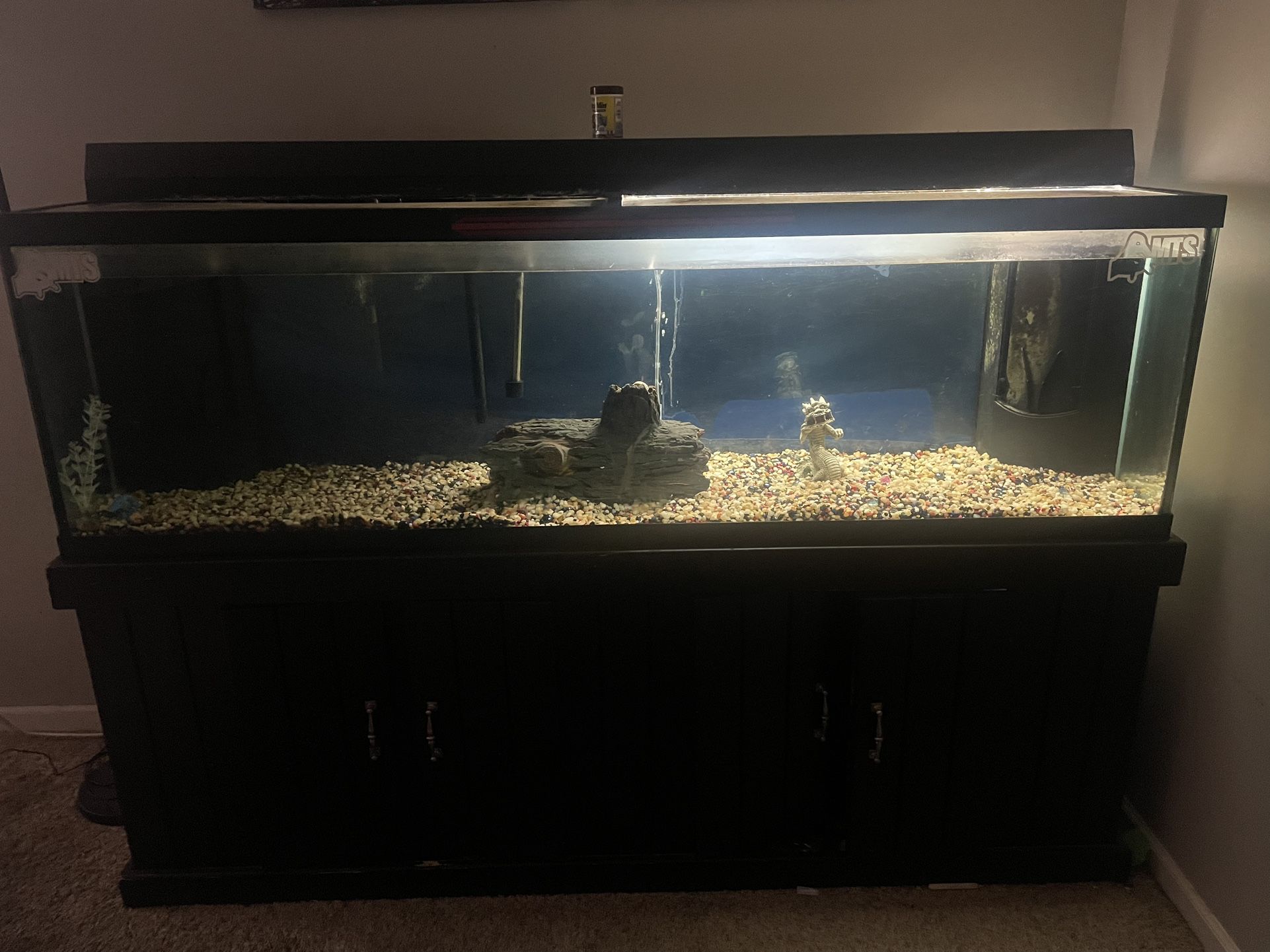 125 Gallon Fish Tank 