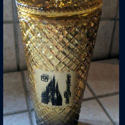 Disney Water Tumbler With Straw 
