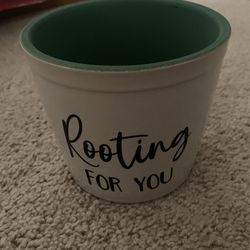 Plant Pot