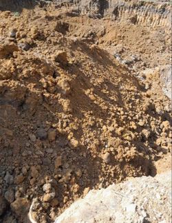 We Bring Dirt To You!