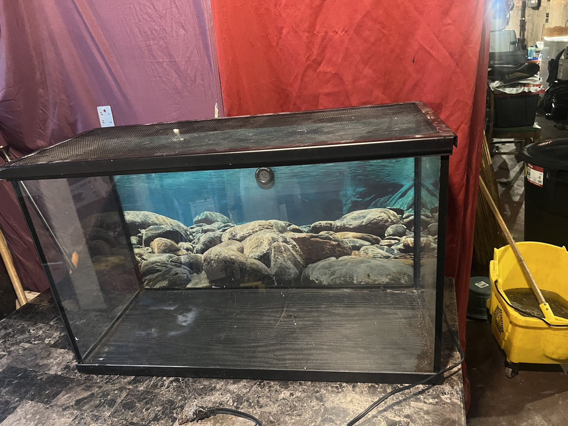 Tank Need Gone