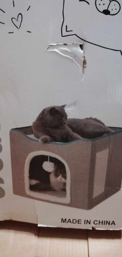 Cat Bed