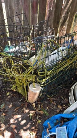 Crabbing Traps