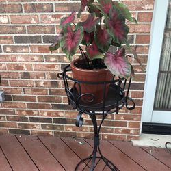 Metal Plant Stand By Southern Living 