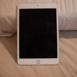 Apple iPad Mini (4th Generation) – Silver – Wi-Fi – Works Great 