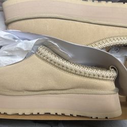 Tazman uggs 