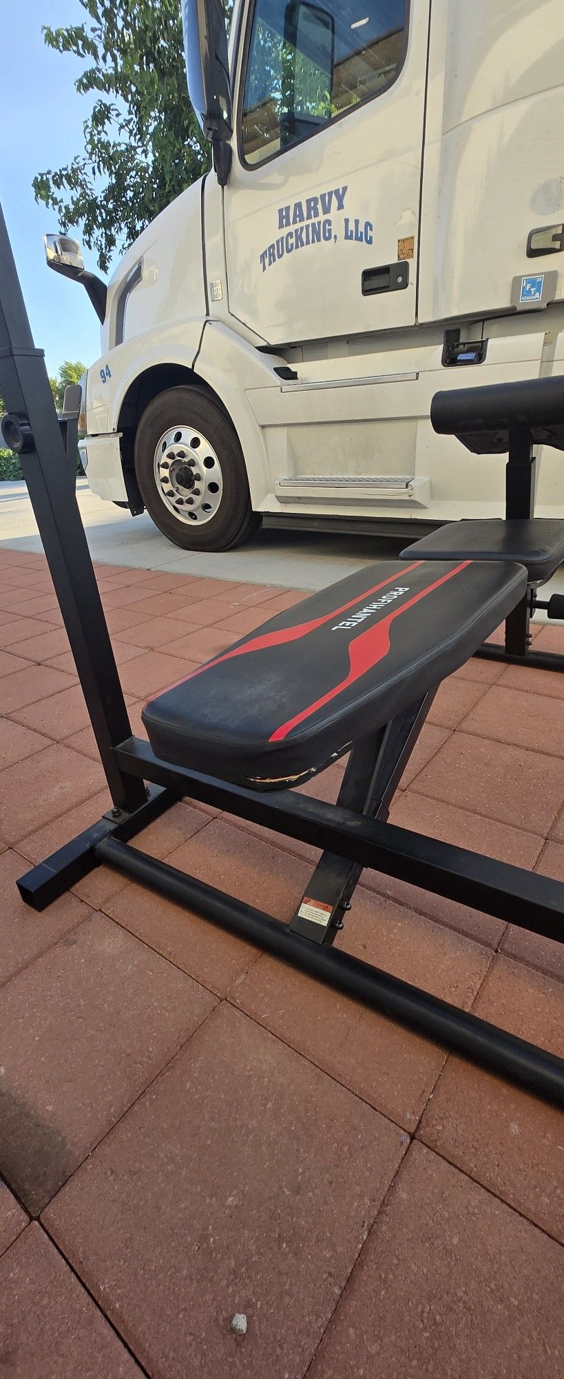 Adjustable Bench For Gym