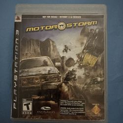 PS3 Motorstorm