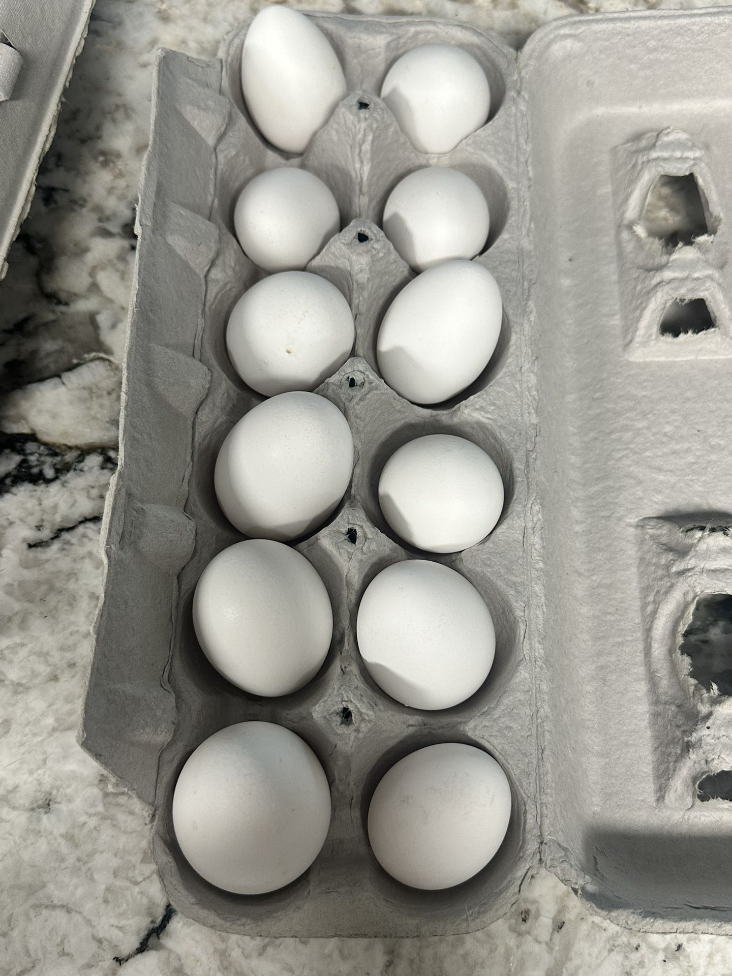 Fresh Eggs