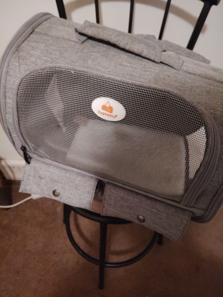Toptasta Dog Or Cat Carrier