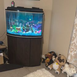 Amazing Fish Tank and Accessories!