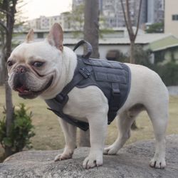 Tactical Dog Harness, Small Size