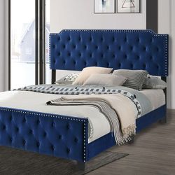 Contemporary Navy Bed