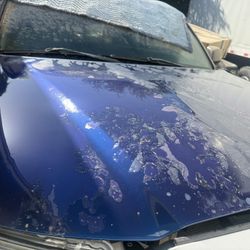 2009 Toyota Tacoma Hood OEM 