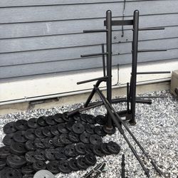 Weights Bars Weight Tree