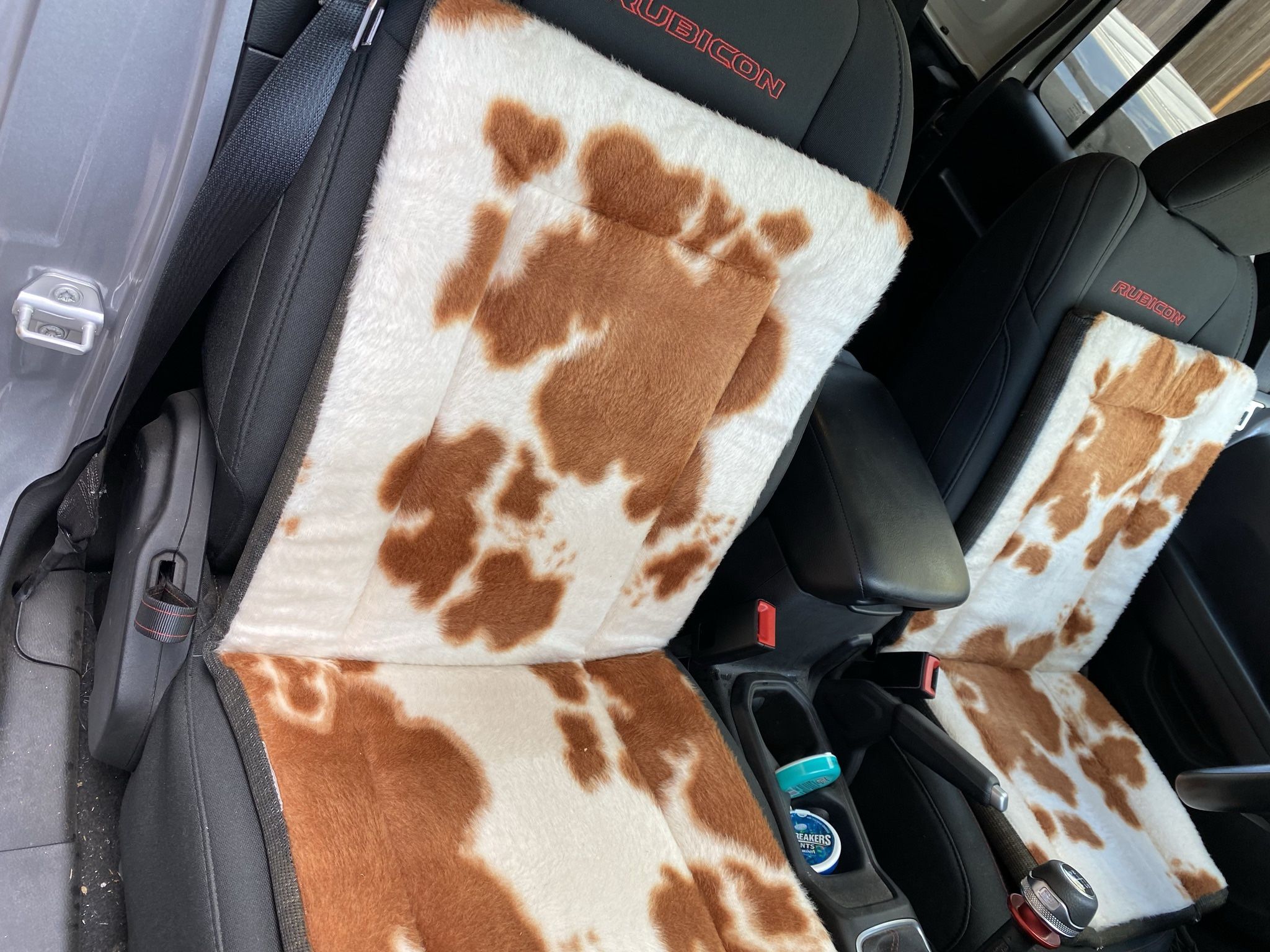 Steer Pattern Seat Cushions