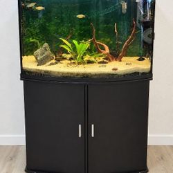 Bow Front Aquarium With Stand Complete Setup