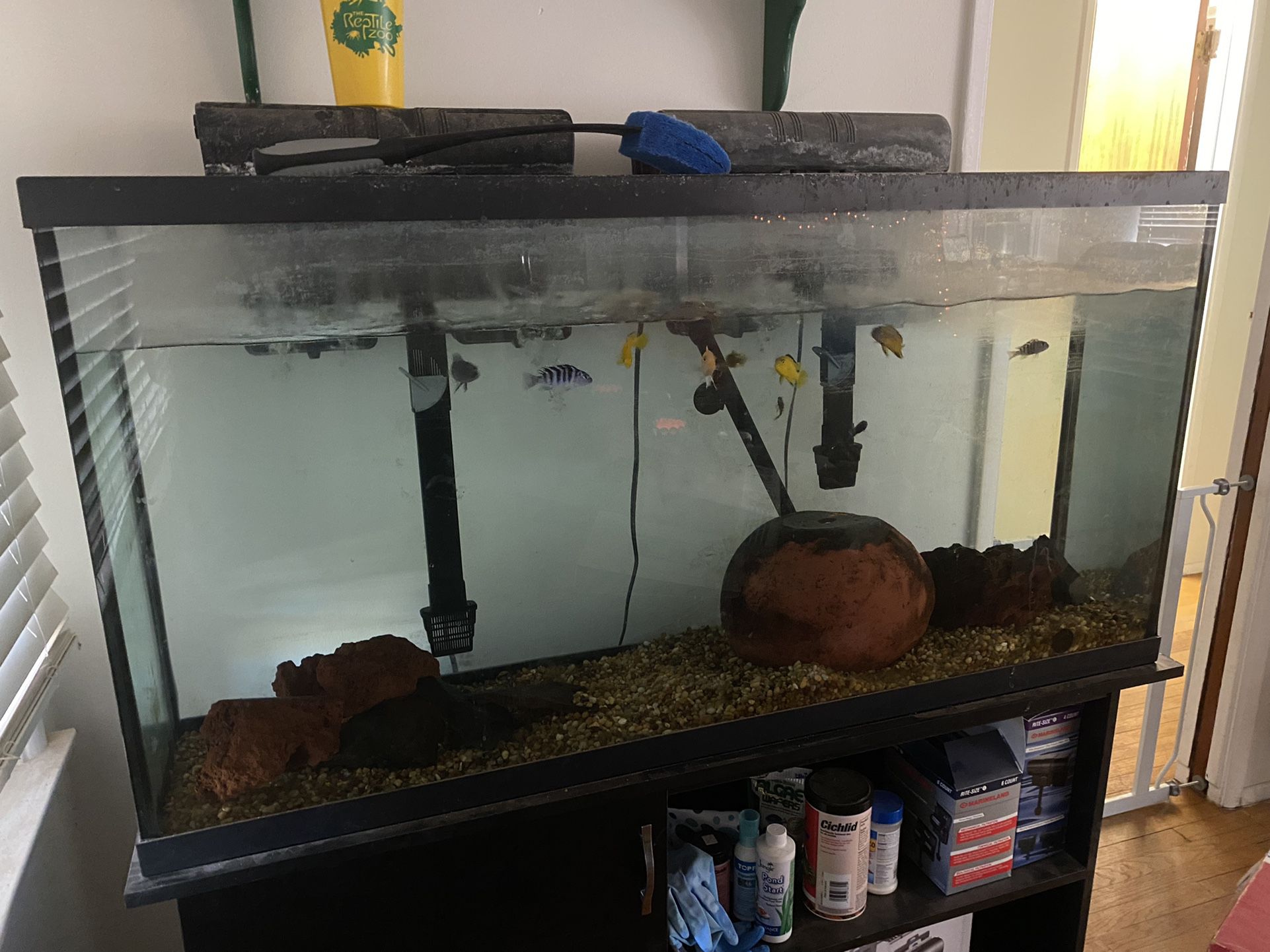 60 Gallon Fish Tank With Stand  