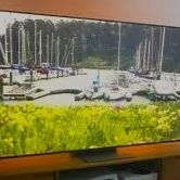 LG 55" Smart TV - 4K UHD Television