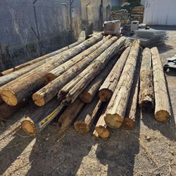 Used Utility Poles