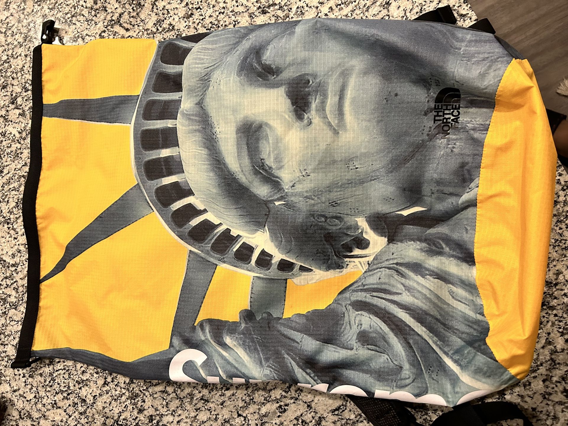 Supreme The North Face Statue of Liberty Waterproof Backpack