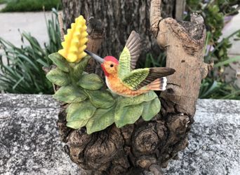 Allen’s Hummingbird With Aphelandra 