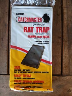 Catch Master Rat Trap 🐀