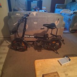 Skylark Ebike 