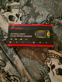 RJTianye 12V Intelligent Pulse Repair Charger