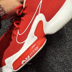 Nike Zoom Size Us 13