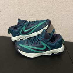 Nike Men’s Giannis Immortality Basketball Shoes Teal Size 7