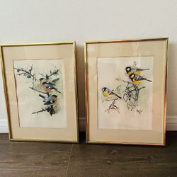 Framed Bird Art Prints with Gold Frames signed by Danish artist Mads Stage