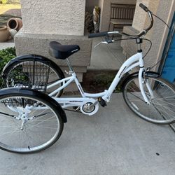 Adult 3 Wheel Bike