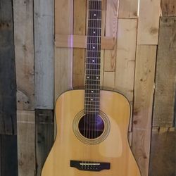 Epiphone PR100NA Acoustic Dreadnought Guitar 