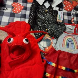 Animal Clothing