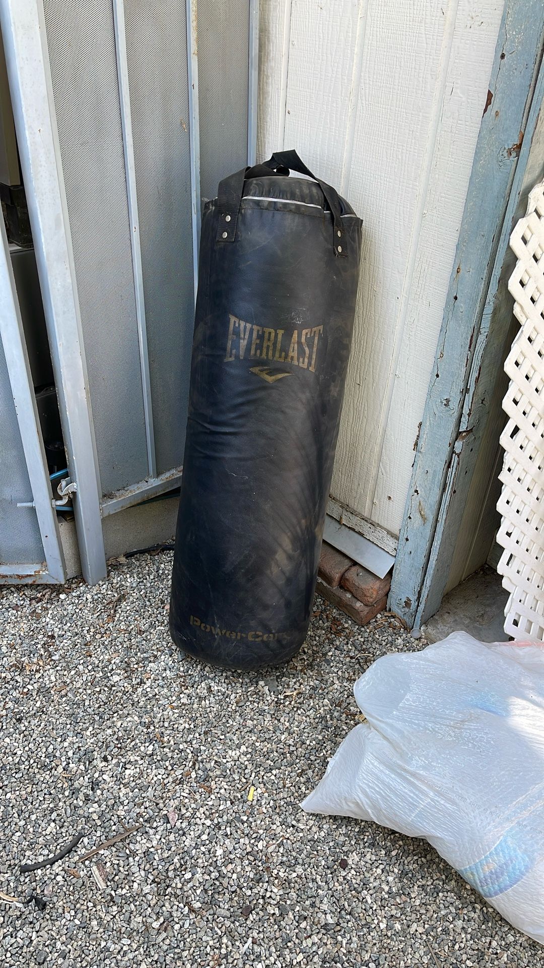 Everlast Punching Bag