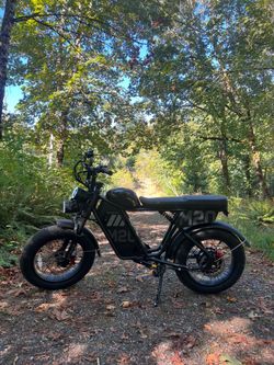 Basically Brand New Fat Tire E-bike