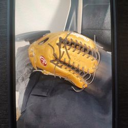 Rawlings Pro Preferred 