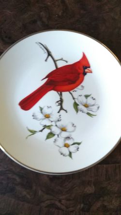Cardinal North American Songbird Plate