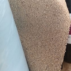 Peel and stick rolls/ Base