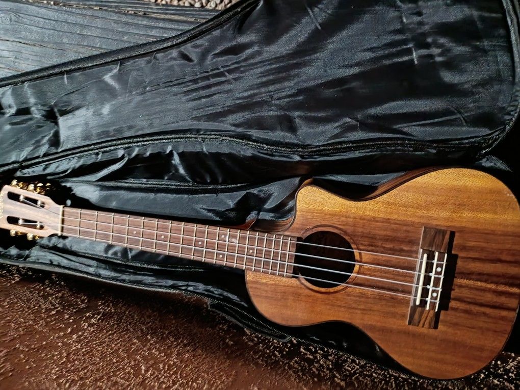 Musical Instrument With Case