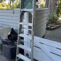 Werner 6 ft. Ladder