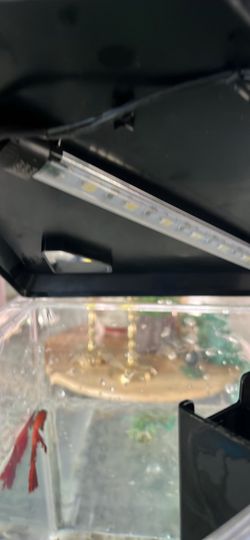 Small fish tank