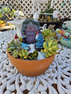 Succulent Garden