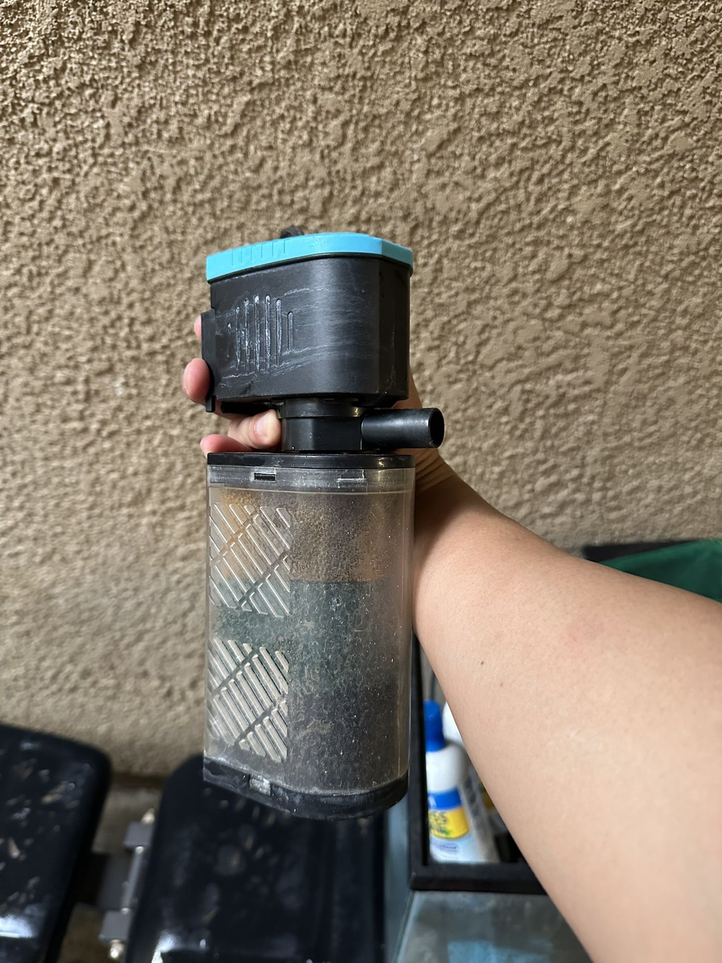 Fish Tank Essentials