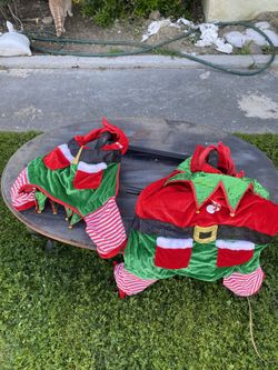 Large And Extra Large Dog Costumes 