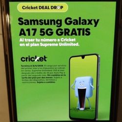 Cricket Flash Sale!