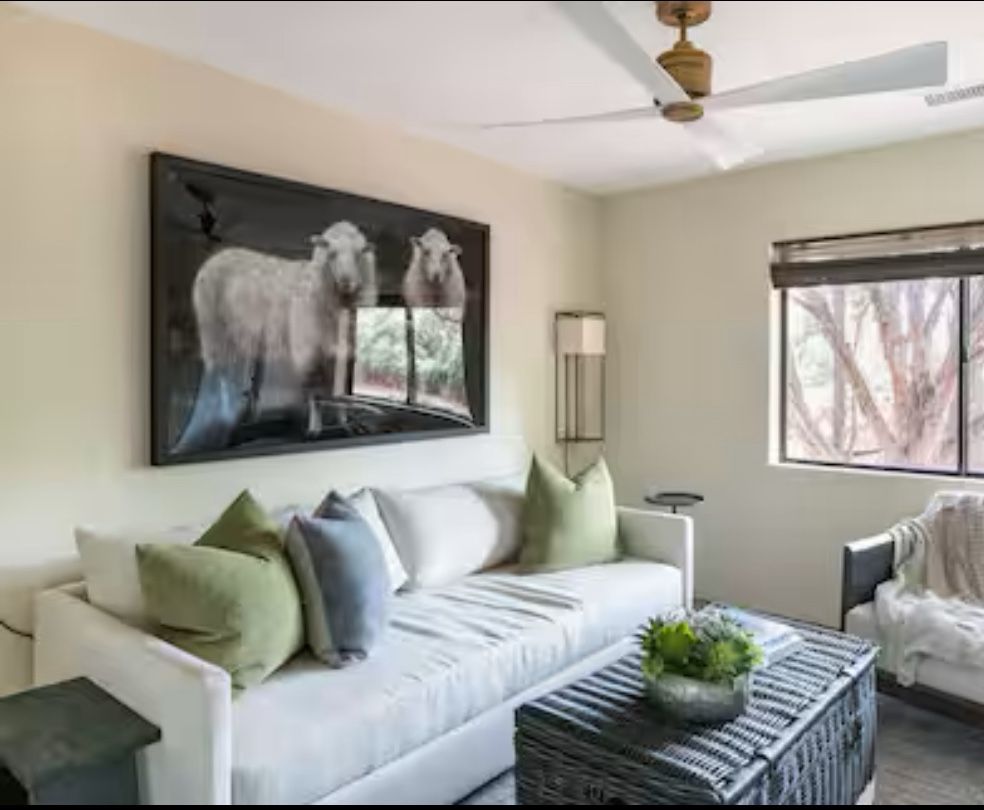 Gorgeous Sleeper Sofa