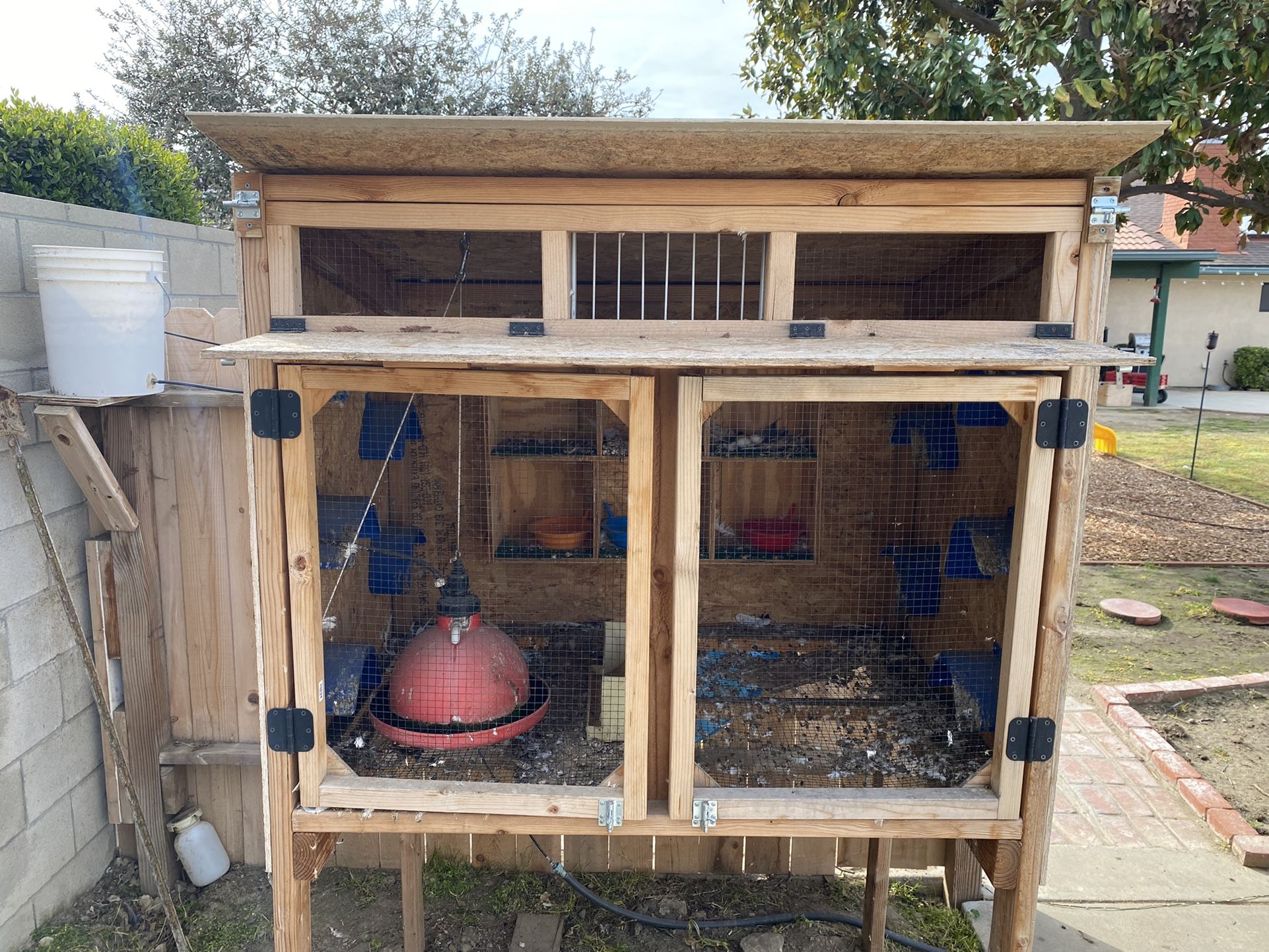 Pigeon loft
