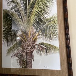 Palm Tree Framed Picture